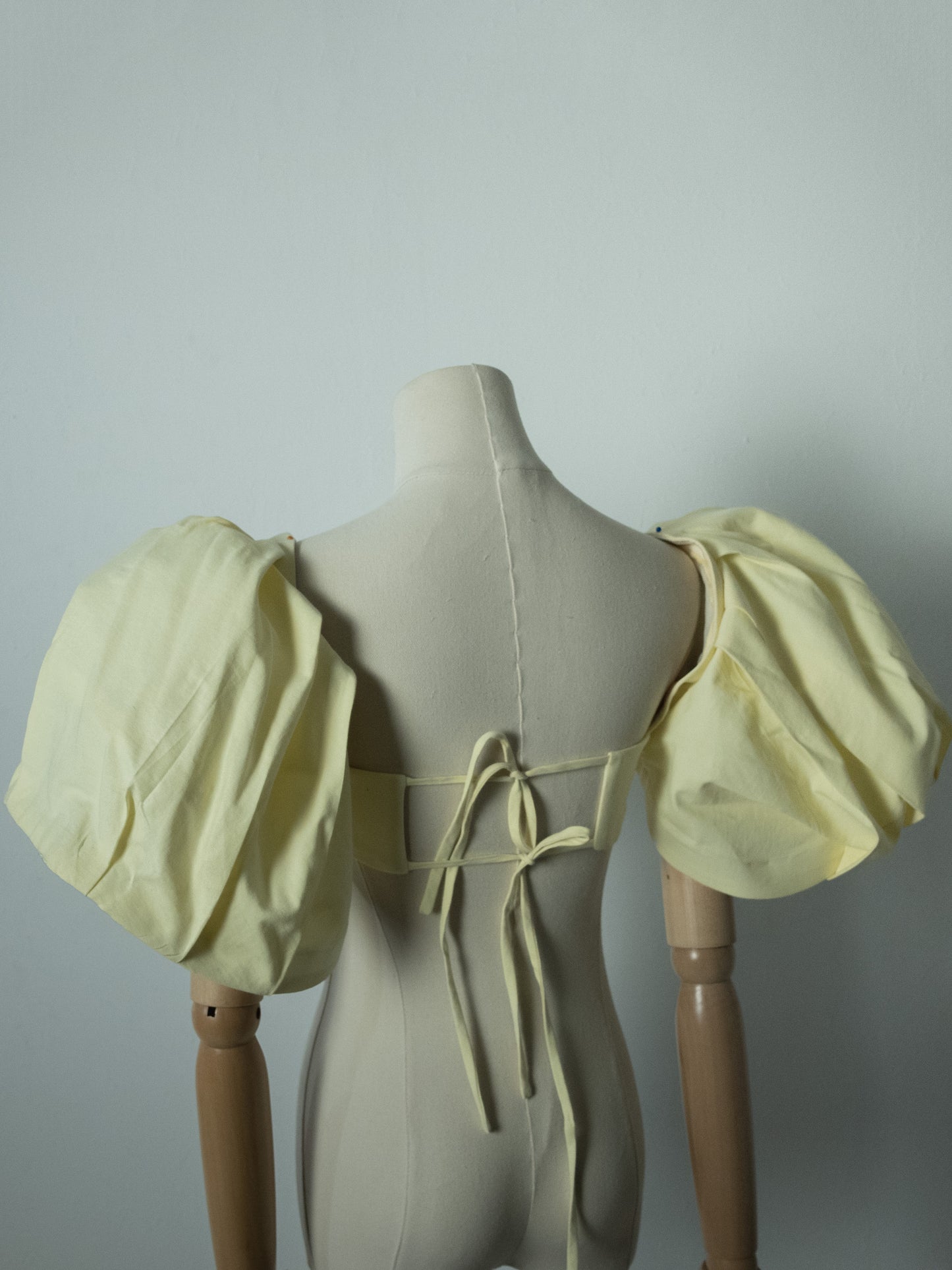 Brigitte Crop with Puff Sleeve